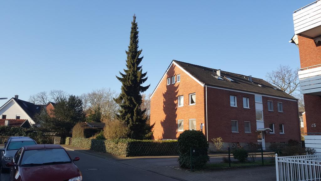 Munstersdachstubchen Appartement Kamer foto